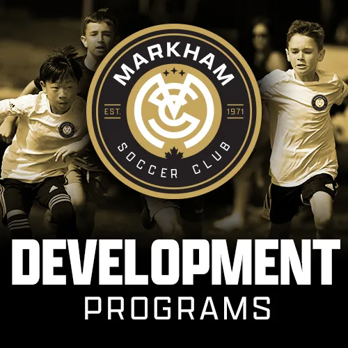 MSC-btns-Development-1