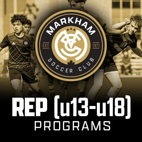 MSC-btns-REP-13-18-1